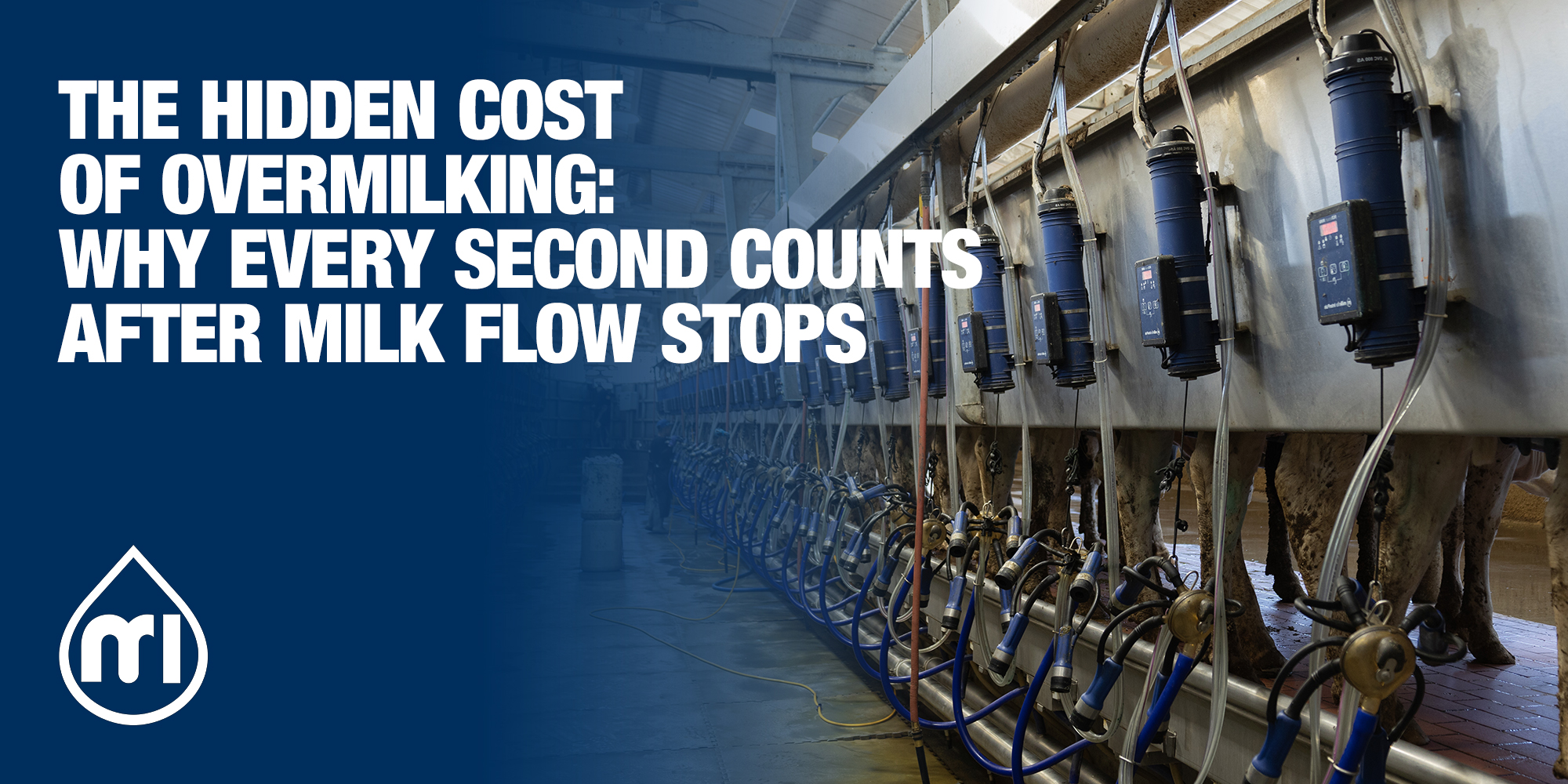 The hidden cost of overmilking: why every second counts after milk flow stops