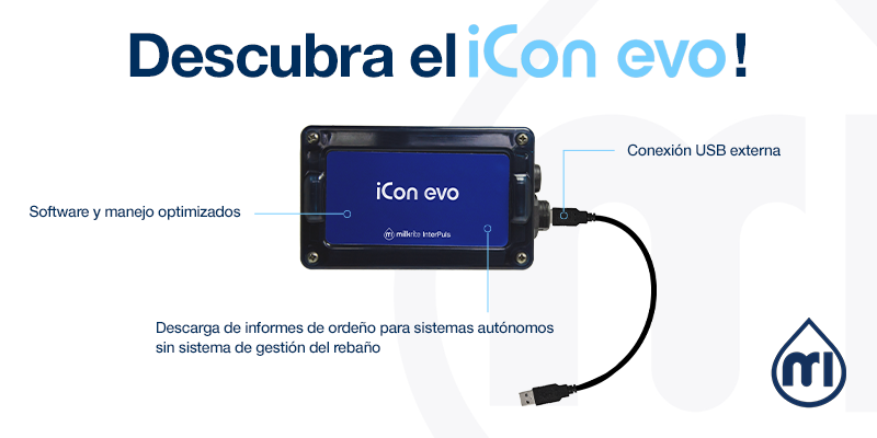 Icon Evo   SPA